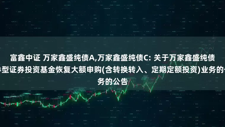 富鑫中证 万家鑫盛纯债A,万家鑫盛纯债C: 关于万家鑫盛纯债债券型证券投资基金恢复大额申购(含转换转入、定期定额投资)业务的公告