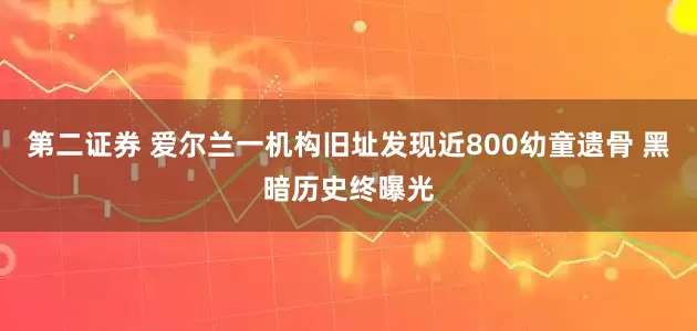 第二证券 爱尔兰一机构旧址发现近800幼童遗骨 黑暗历史终曝光
