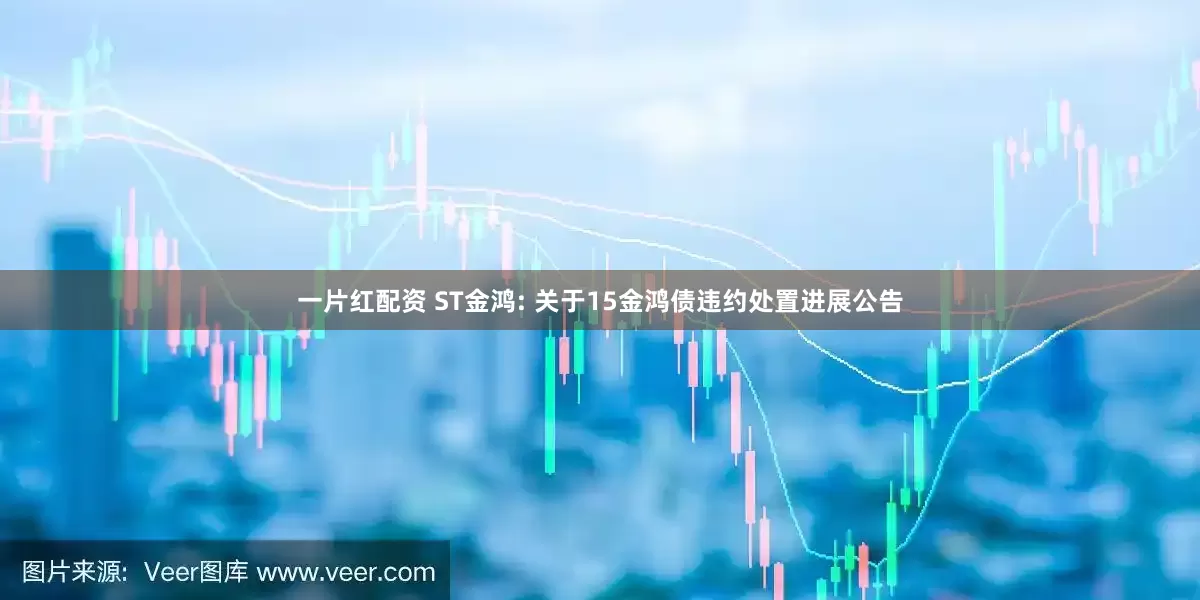 一片红配资 ST金鸿: 关于15金鸿债违约处置进展公告