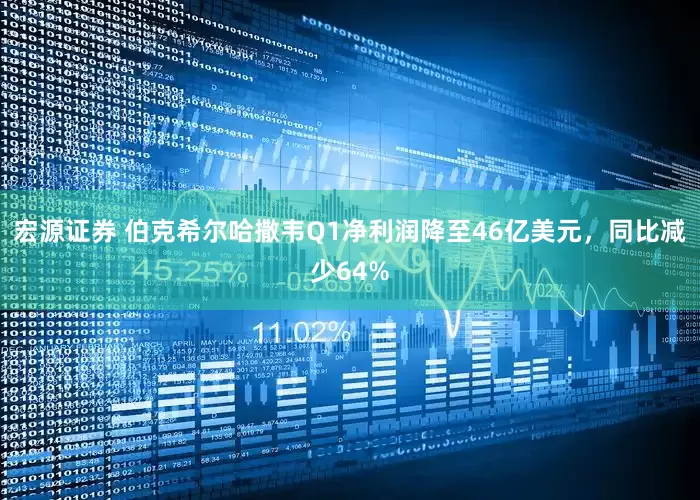 宏源证券 伯克希尔哈撒韦Q1净利润降至46亿美元，同比减少64%