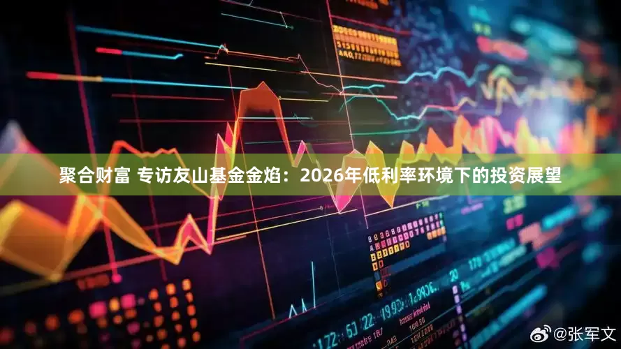 聚合财富 专访友山基金金焰：2026年低利率环境下的投资展望