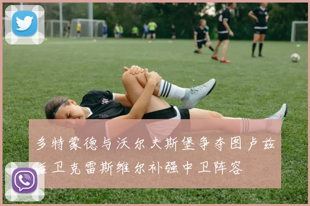 多特蒙德与沃尔夫斯堡争夺图卢兹后卫克雷斯维尔补强中卫阵容